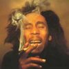 Bob Marley – Mr. Brown