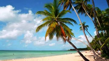 Tony Barlay Savannah Song