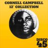 Cornell Campbell And The Aggrovators – I Will Never Change Version