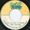 Ken Boothe It is because i’m black – Dub