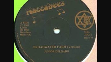 Junior Delgado – Broadwater Farm (12 Maccabees 1985)