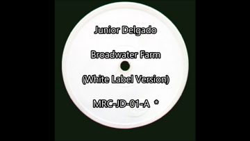 Junior Delgado – Broadwater Farm [white label version]