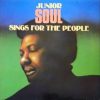 Junior Soul   Penny For Your Song