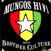 Mungo’s Hi-Fi Meets Brother Culture Flagpole Dub