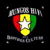 Mungo’s Hi Fi – Reggae music lover ft Brother Culture