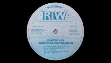 Ranking Ann ‎– Something Fishy Going On