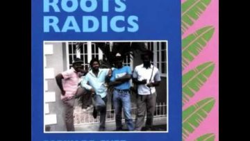 Roots Radics – Long Road