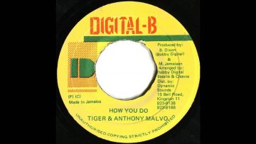 Tiger – Anthony Malvo – How You Do