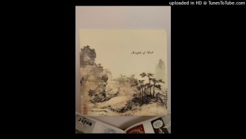 Chari Chari – Beach Echo – Rim Shot (1999)