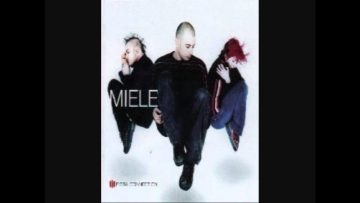 Miele  Antidoto Tarantulae.wmv