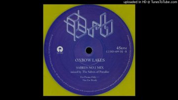 The Orb – Oxbow Lakes (Sabres No.1 Mix)