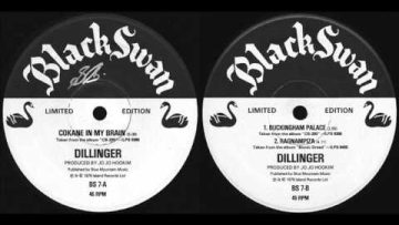 DILLINGER / COKANE IN MY BRAIN / 1976 / 12