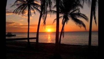 Halvet –  In Da Gladiaz