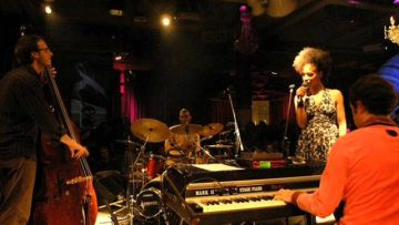 Loopless – Blue and Yellow Bird – 05