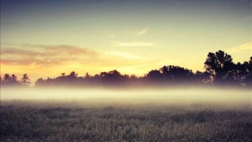 Spectral – Pure Consciousness (A Wonderful Feeling Remix)