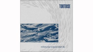 Tortoise – Goriri