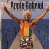 Apple Gabriel-Another Moses