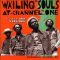 Wailing Souls – Joy Within Your Heart   The Revolutionaries Version