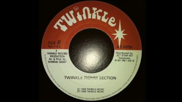 Twinkle Brothers ‎– Never Get Burn – Version (Twinkle Music) 1998