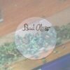 BUD ALZIR JERICHO 94 RARE DIGI DUG REGGAE 12