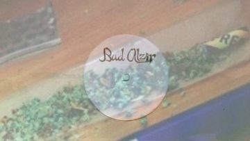 BUD ALZIR JERICHO 94 RARE DIGI DUG REGGAE 12