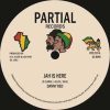 COMING SOON – Danny Red – Jah Is Here – Partial 7 PRTL7074