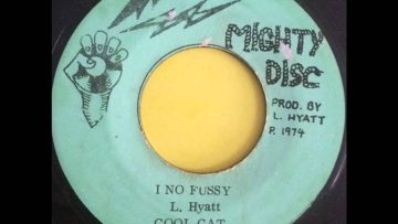cool cat I no fussy reggae 45 mighty disc