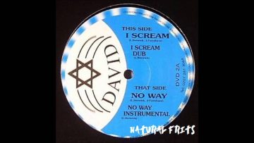 Julian Fairshare – Digidub   I Scream