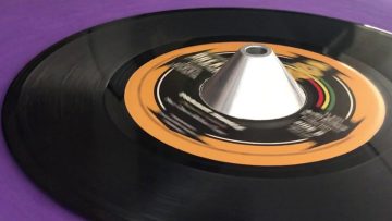 MIKEY DREAD – KING TUBBY ~ Parrot Jungle (ROD TAYLOR feat SLY