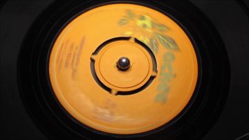 Tellers – Green Guava Jelly – ACKEE: ACK 501