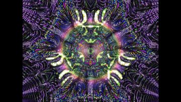 Coral –  Oracular