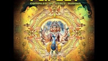Flip Out Vol 5 (Compiled By Space Buddha)