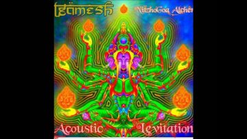 Giilgamesh – Acoustic Levitation (Goa Trance Set)