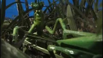 Le Peuple de l’Herbe – PH Theme