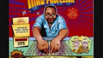 Mad Professor Heaven Sent DuB