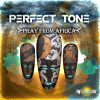 Perfect Tone – Pray From Africa