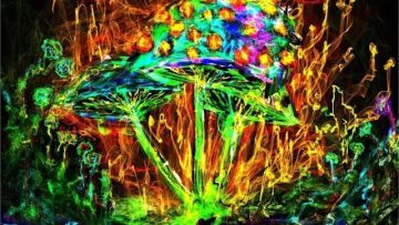 Solar Waves  – The World Of The Dream