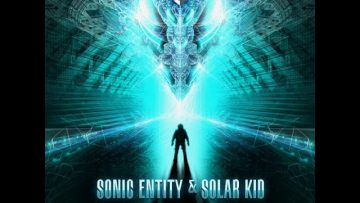 Sonic Entity