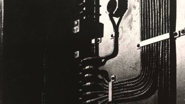Techno Animal – Excavator