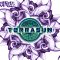 Terrasun – Unity