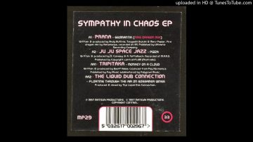 The Liquid Dub Connection – Floating Through The Air On Gossamer Wings