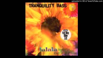 Tranquility Bass – La La La (The Skull Valley High Desert Funk Mix By Tom Chasteen)