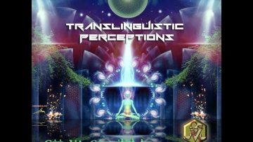 Translinguistic Perceptions (1/2)