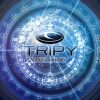 Tripy – Lucid Dream