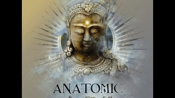 Anatomic – Boom Satya