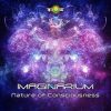 Imaginarium – Nature Of Consciousness