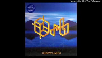 The Orb – Oxbow Lakes (Carl Craig Psychic Pals Family Wealth Plan Mix)