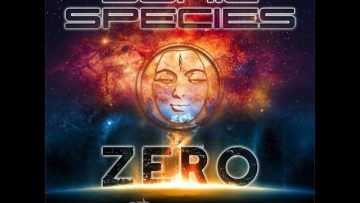 Sonic Species – Zero (Outsiders Remix)