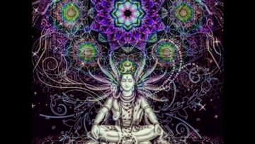Freak Control – Tandava