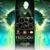 Lord Flames – Freedom Festival 2015 (Goa Trance Set)